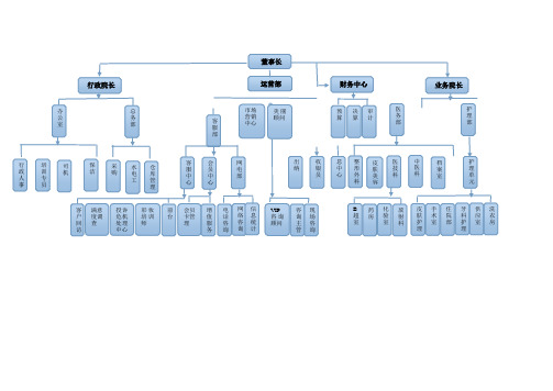 民营医院组织架构图示