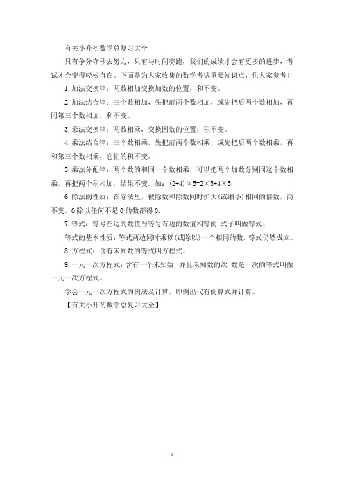 精选最新有关小升初数学总复习大全