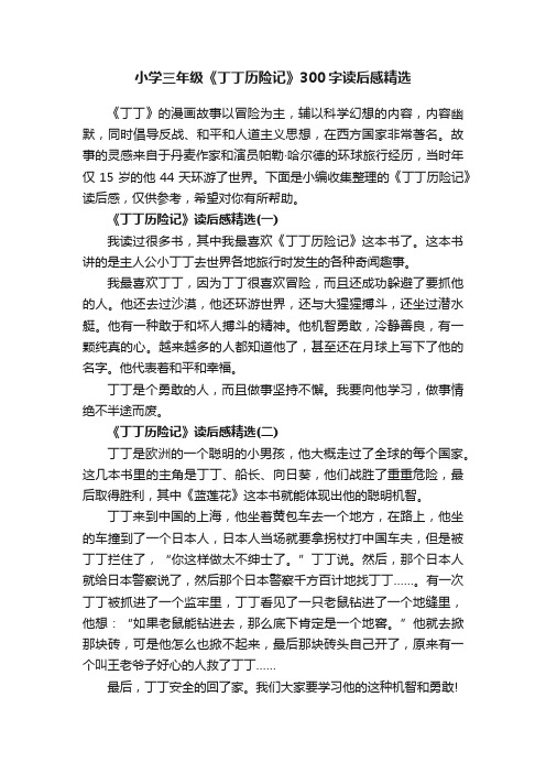 小学三年级《丁丁历险记》300字读后感精选