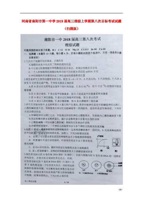河南省南阳市第一中学2019届高三理综上学期第八次目标考试试题(扫描版)