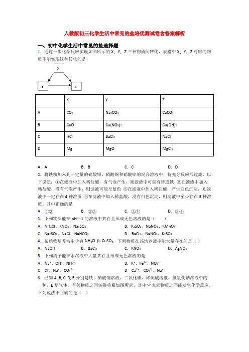 人教版初三化学生活中常见的盐培优测试卷含答案解析