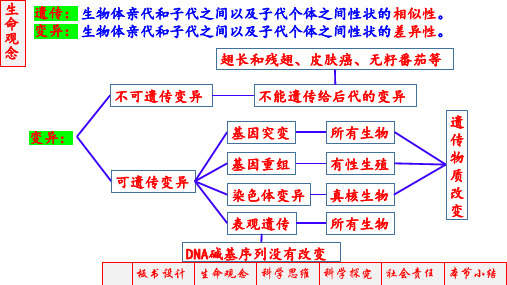 高三生物一轮复习课件生物的变异