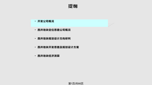 北京西井地块商业项目开发方向及规划设计思路建议报告前期策划PPT课件