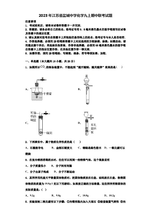 2023年江苏省盐城中学化学九上期中联考试题含解析