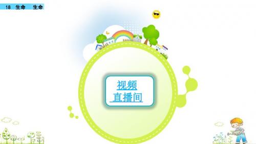 18-生命-生命