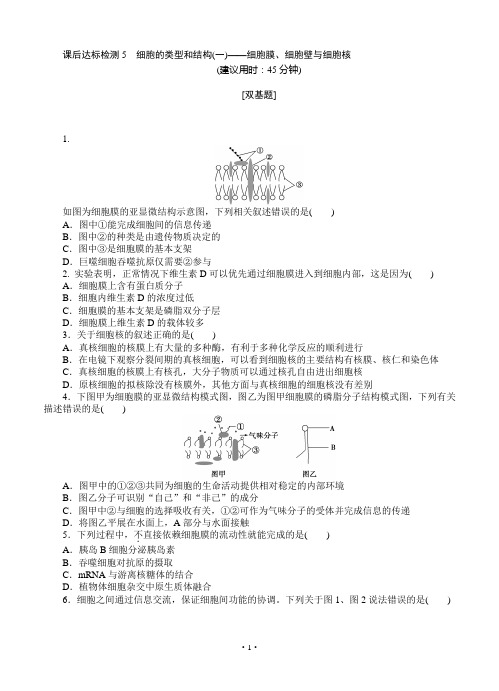 2015届《优化方案》高考生物(苏教版)一轮课后达标检测05 细胞的类型和结构(一)——细胞膜、壁与细胞核