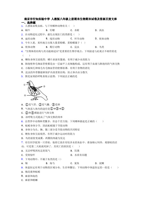 南京市行知实验中学 人教版八年级上册期末生物期末试卷及答案百度文库