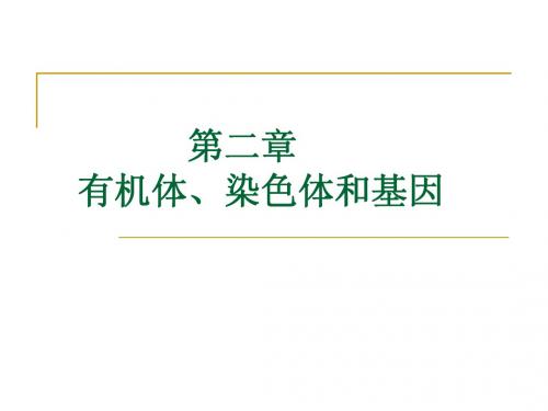 分子生物学  第二章 有机体、基因和染色体