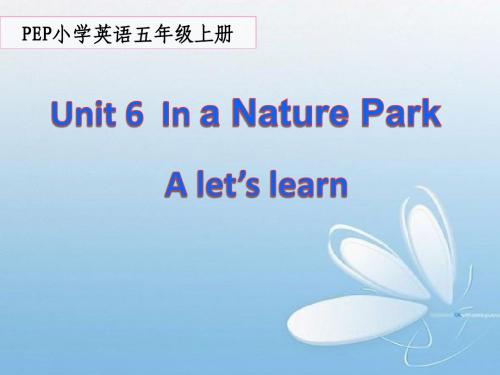 PEP人教版小学英语五年级上册《Unit 6 In a nature park》课件