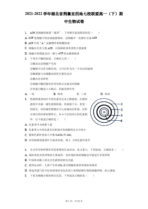 2021-2022学年湖北省荆襄宜四地七校联盟高一(下)期中生物试卷(附答案详解)