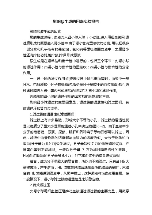 影响尿生成的因素实验报告