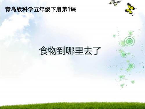 五年级下1食物到哪里去了青岛版共19张