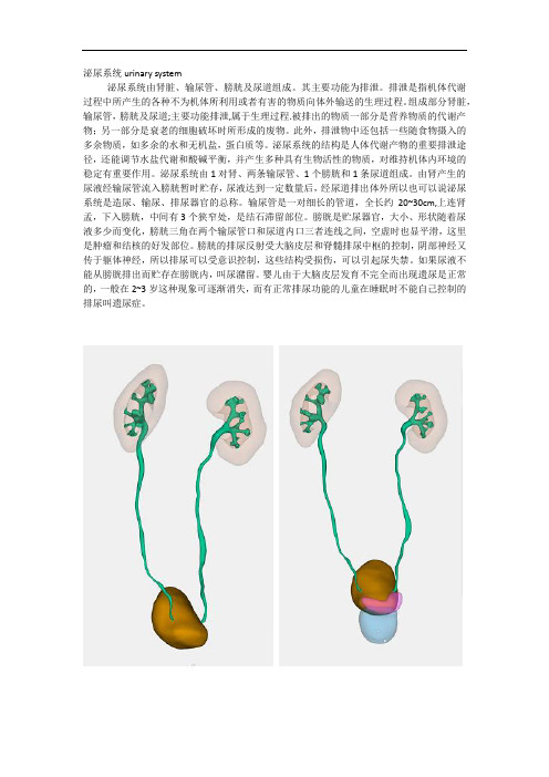 泌尿系精准三维重建与简介