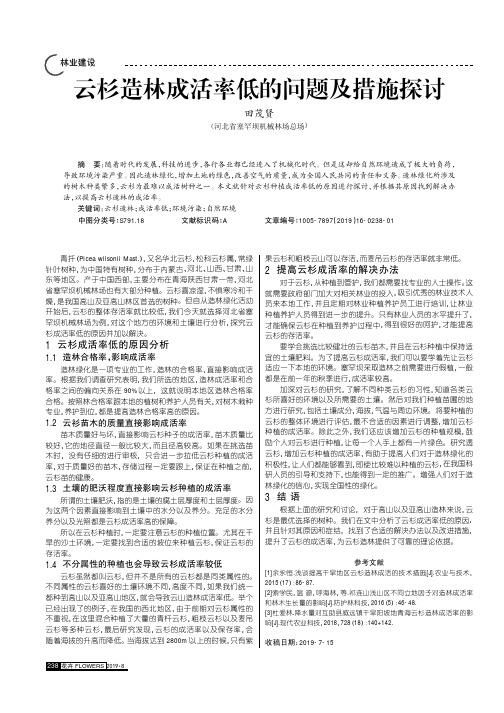 云杉造林成活率低的问题及措施探讨