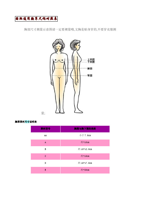 国际通用胸罩尺码对照表及其他