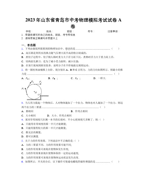 2023年山东省青岛市中考物理模拟考试试卷A卷及解析