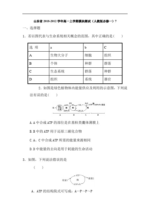 高一生物试题-新人教版高一生物上册模块测试题第7卷 最新