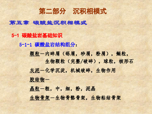 沉积相综合解释技术10-11碳酸盐沉积相模式