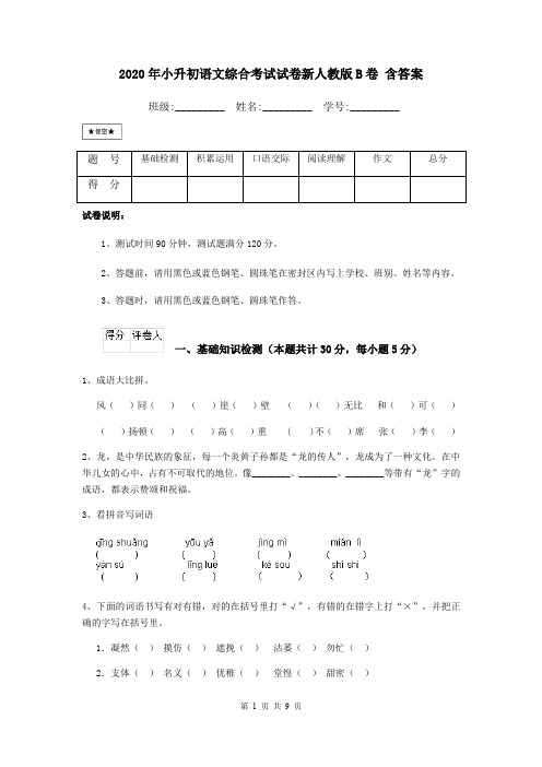 2020年小升初语文综合考试试卷新人教版B卷 含答案