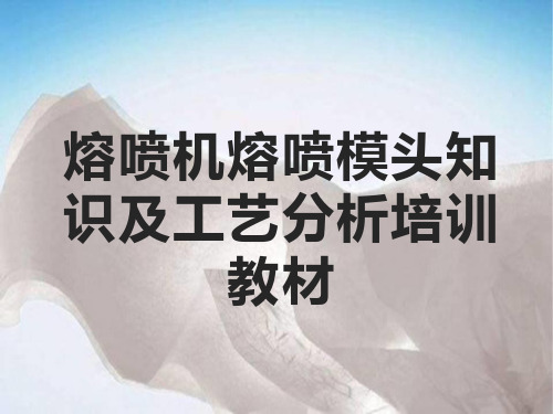 熔喷机熔喷模头知识及工艺分析培训教材