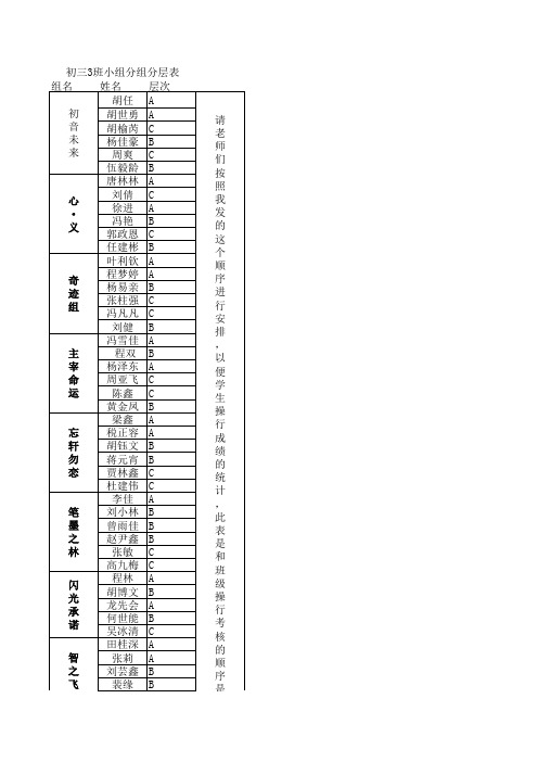 初三3班学生分组分层表