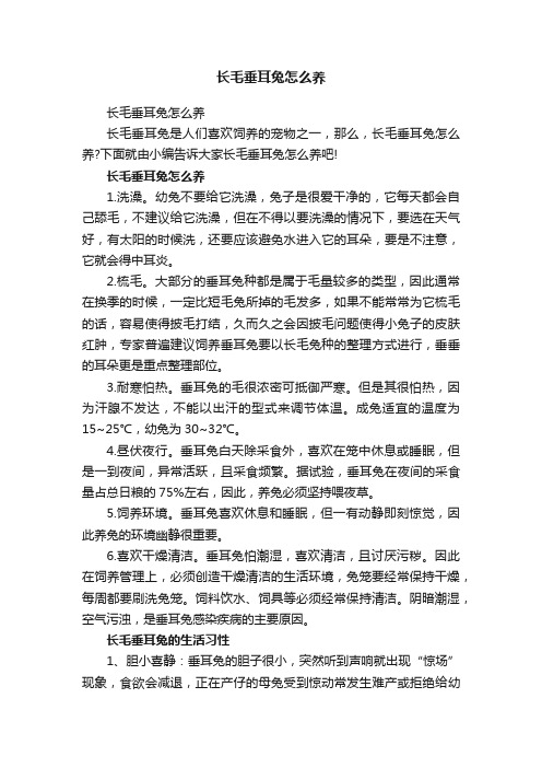 长毛垂耳兔怎么养