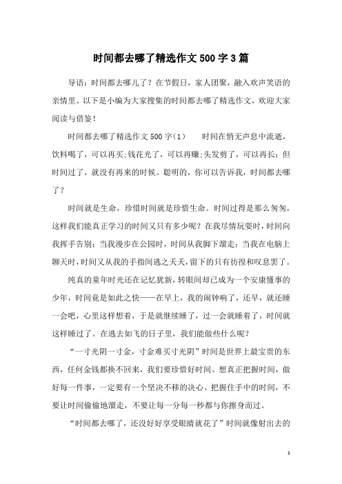 时间都去哪了精选作文500字3篇