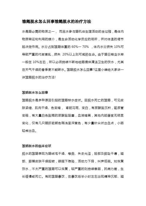 雏鹅脱水怎么回事雏鹅脱水的治疗方法