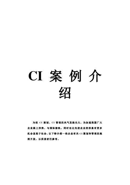 CI案例介绍—— 投资集团 公司