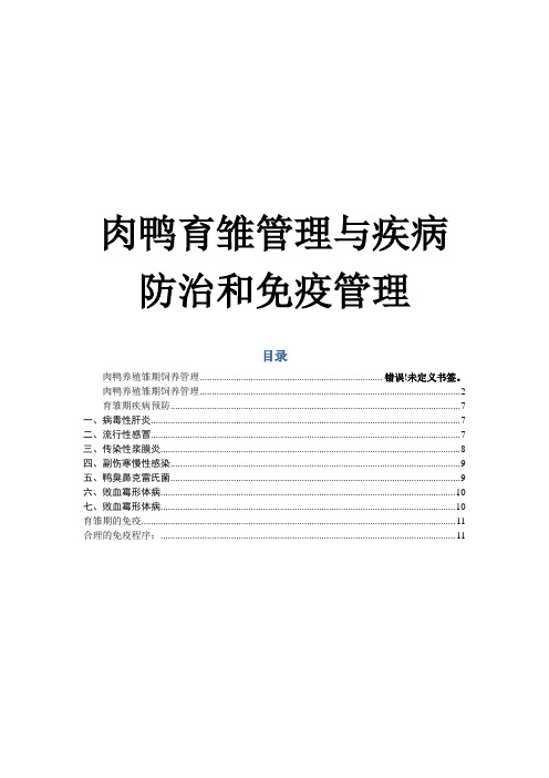 肉鸭育雏管理与疾病防治和免疫管理