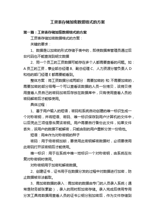 工资表存储加密数据格式的方案