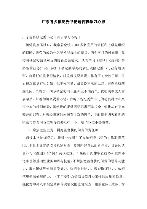 广东省乡镇纪委书记培训班学习心得