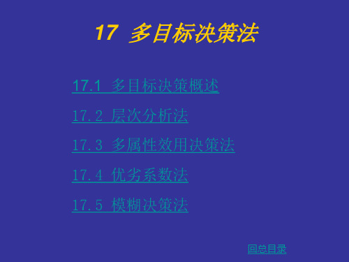 17多目标决策