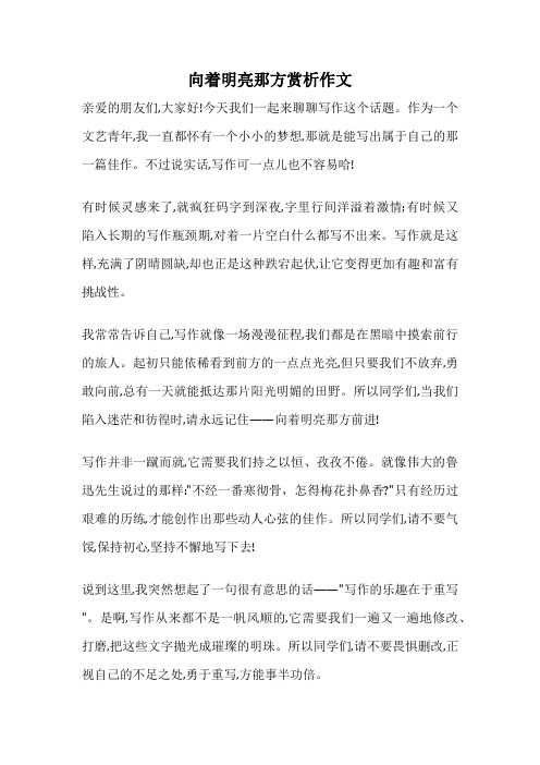 向着明亮那方赏析作文