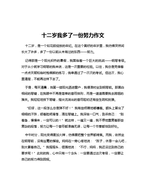 十二岁我多了一份努力作文