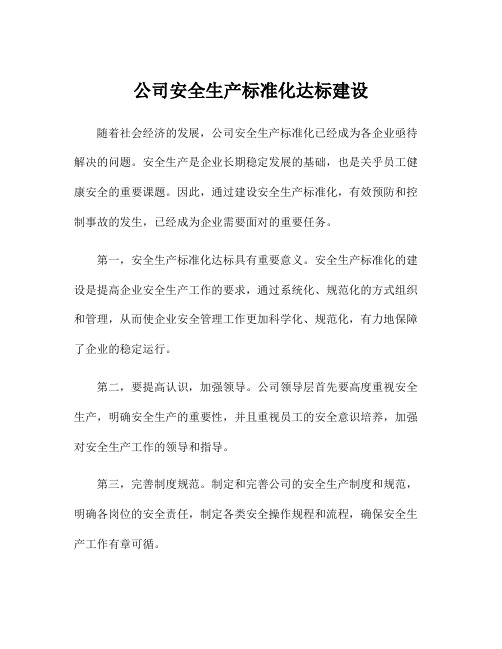 公司安全生产标准化达标建设