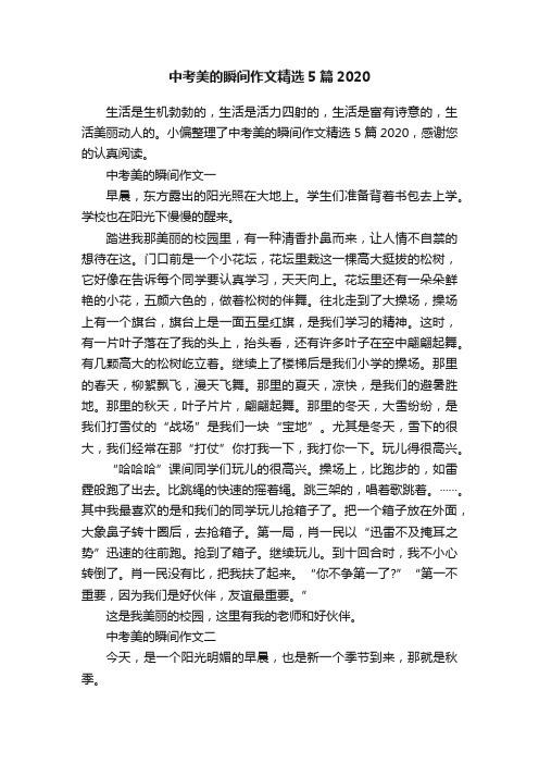 中考美的瞬间作文精选5篇2020