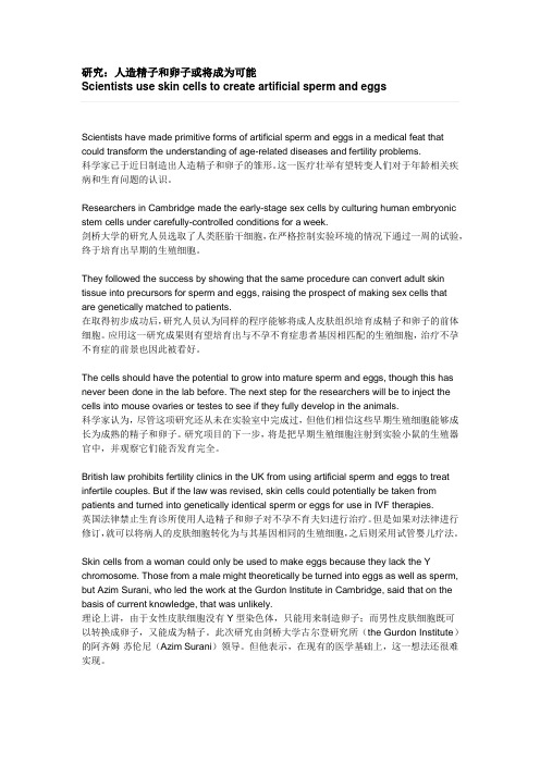 研究:人造精子和卵子或将成为可能