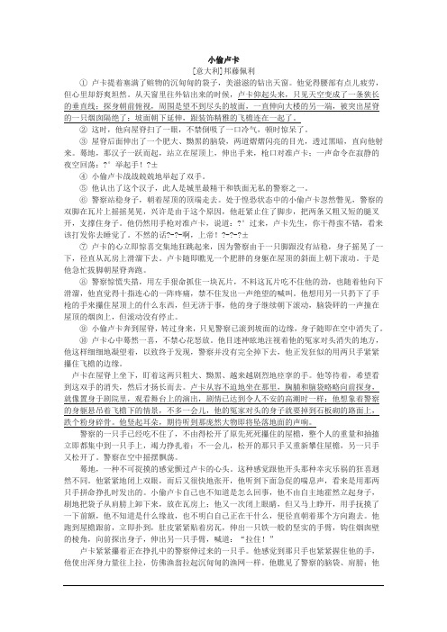 《小偷卢卡》阅读练习及答案