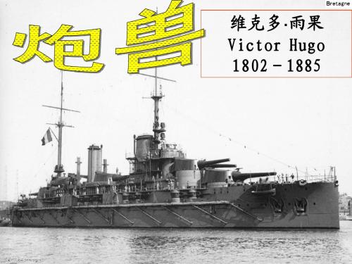 炮兽实用精品
