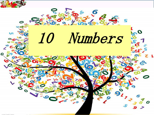 Numbers PPT