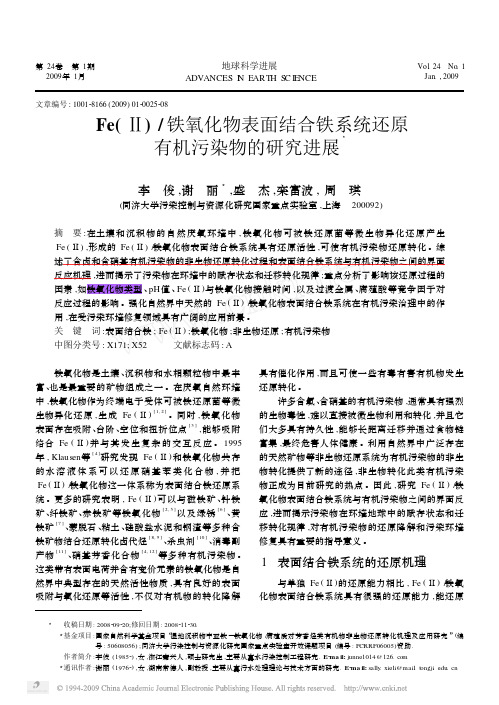 Fe_铁氧化物表面结合铁系统还原有机污染物的研究进展