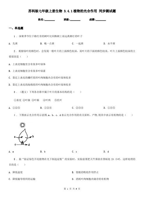 苏科版七年级上册生物 3.4.1植物的光合作用 同步测试题