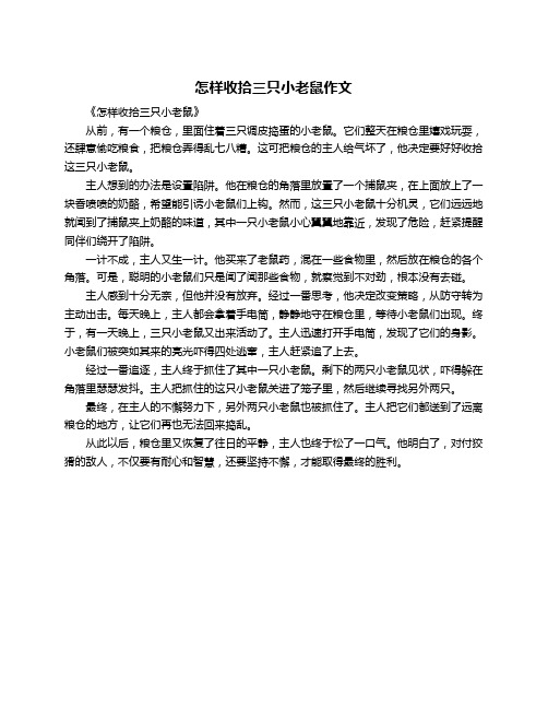 怎样收拾三只小老鼠作文