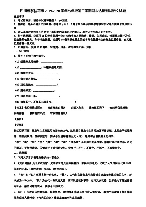 四川省攀枝花市2019-2020学年七年级第二学期期末达标测试语文试题含解析