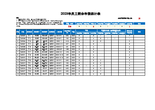 员工剩余年假统计表