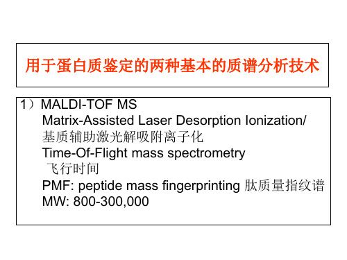 质谱分析技术-PPT课件