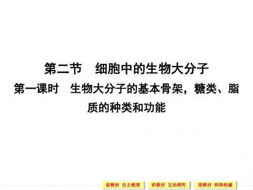 高中生物苏教版必修1课件：2.2.1 生物大分子的基本骨架糖类、脂质的种类和功能