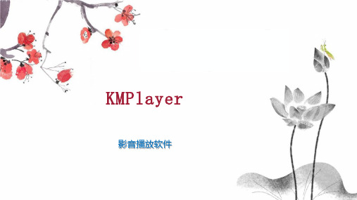 KMPlayer