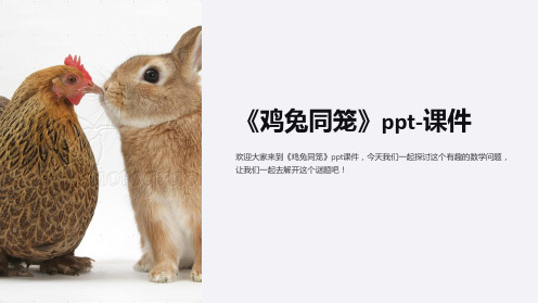 《鸡兔同笼》ppt-课件